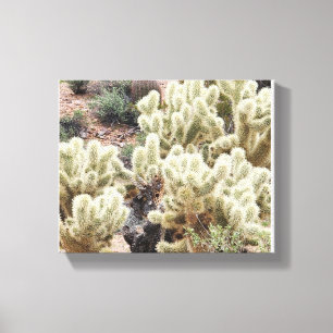Wüstenradiance Cholla Cactus Foto Leinwanddruck