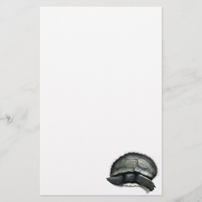 Wüstenschildkröte kommt raus briefpapier (Vorderseite)