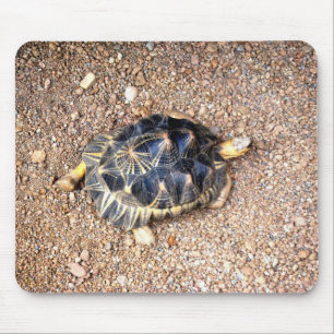 Wüstenschildkröte Mousepad