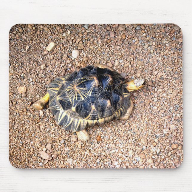 Wüstenschildkröte Mousepad (Vorne)