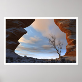 Wüstenschnee Poster