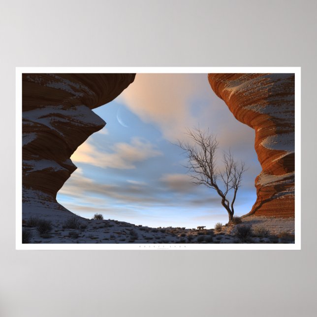 Wüstenschnee Poster (Vorne)