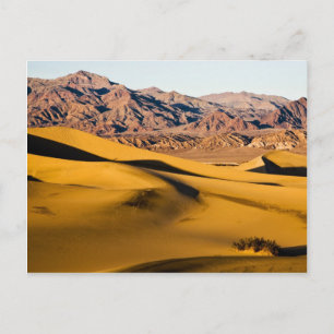Wüstenspielplatz Postkarte