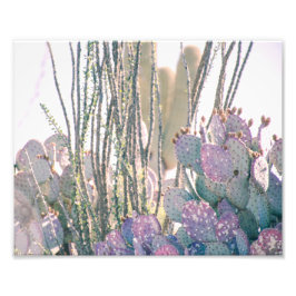 Wüstenvormittag | FOTO