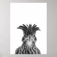 Wüstenweg-Runner-Vogelportrait