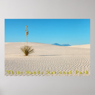 Wüstenweiße Sandlandschaft und Yucca Poster