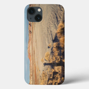 Wüstenwelle: Petrified Forest National Park Case-Mate iPhone Hülle