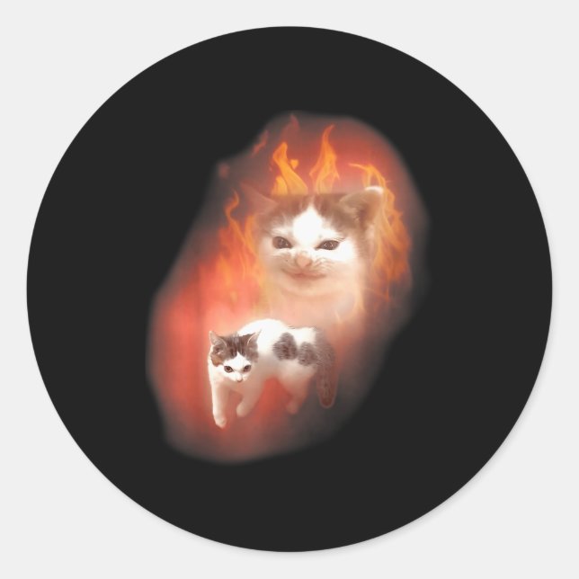 Wütende Katze Meme Lustige Alberne Katze Katzenlie Runder Aufkleber (Vorderseite)