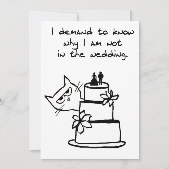 Wütende Katze will Teil der Hochzeit sein (Vorderseite)