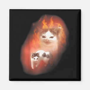 Wütende Katzen-Meme Lustige alberne Katze Katzenli Magnet