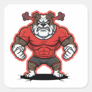 Wütender Bulldogge-Gym-Maskottchen-Cartoon-Aufkleb Quadratischer Aufkleber