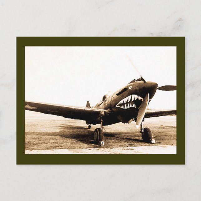 WWII Flying Tigers Curtiss P-40 Fighter Flugzeug Postkarte (Vorderseite)