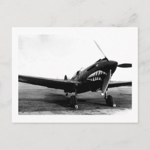 WWII Flying Tigers Curtiss P-40 Fighter Flugzeug Postkarte