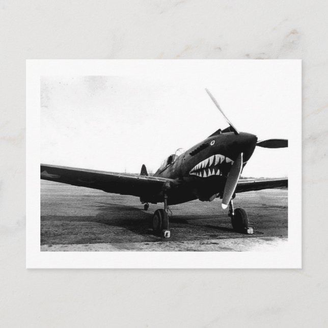 WWII Flying Tigers Curtiss P-40 Fighter Flugzeug Postkarte (Vorderseite)