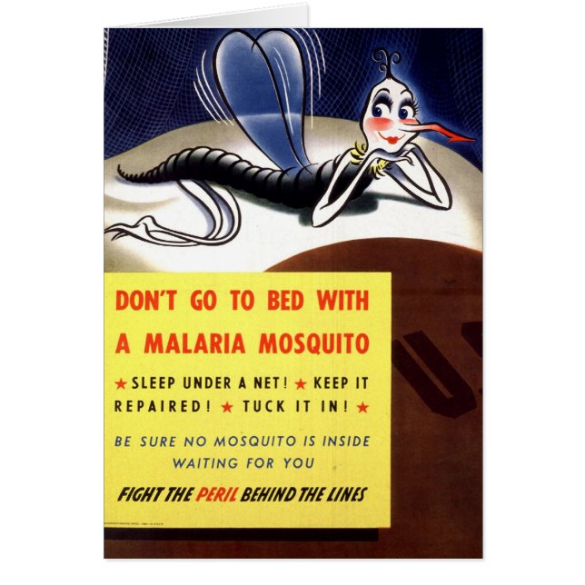 WWII Malaria-Moskito (Vorne)