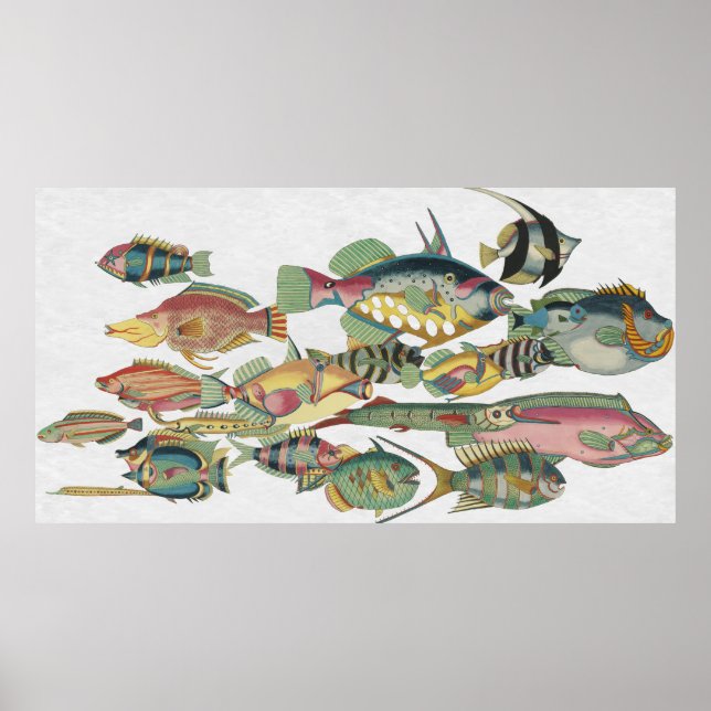 WWW FISH POSTER (Vorne)
