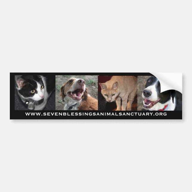 www.sevenblessingsanimalsanctuary.org autoaufkleber (Vorne)