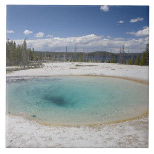 WY, Yellowstone Nationalpark, West Thumb Geyser Fliese