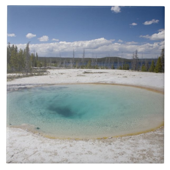 WY, Yellowstone Nationalpark, West Thumb Geyser Fliese (Vorderseite)