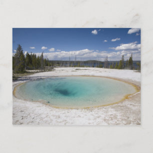 WY, Yellowstone Nationalpark, West Thumb Geyser Postkarte