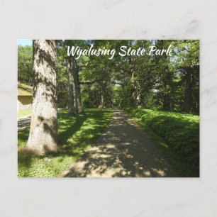 Wyalusing Staat Park P Postcard Postkarte