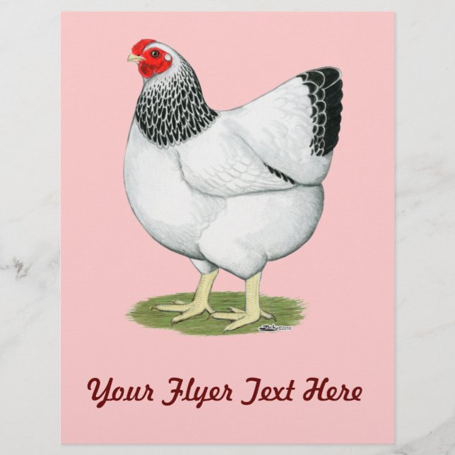 Wyandotte: Columbian Hen (Vorderseite)