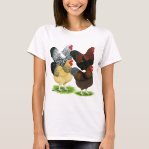 Wyandotte:  Hahn-Zusammenstellung T-Shirt