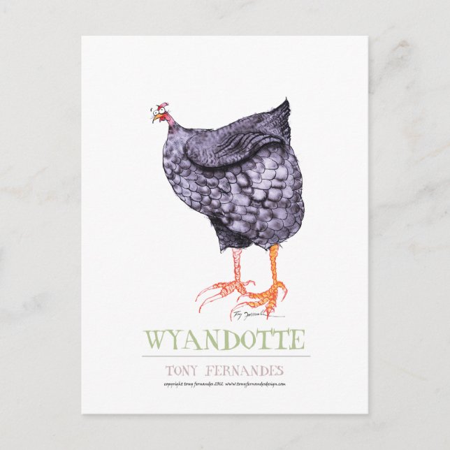 WYANDOTTE HEN, tony fernandes Postkarte (Vorderseite)