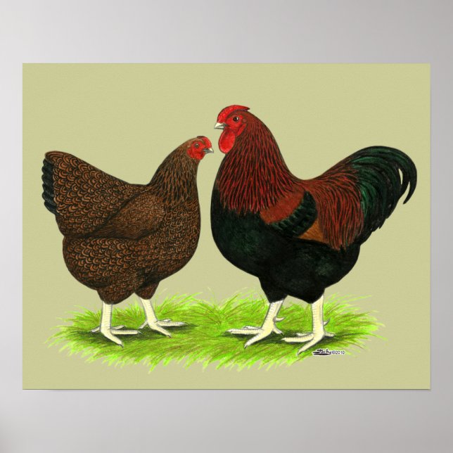 Wyandotte: Partridge Pair Poster (Vorne)