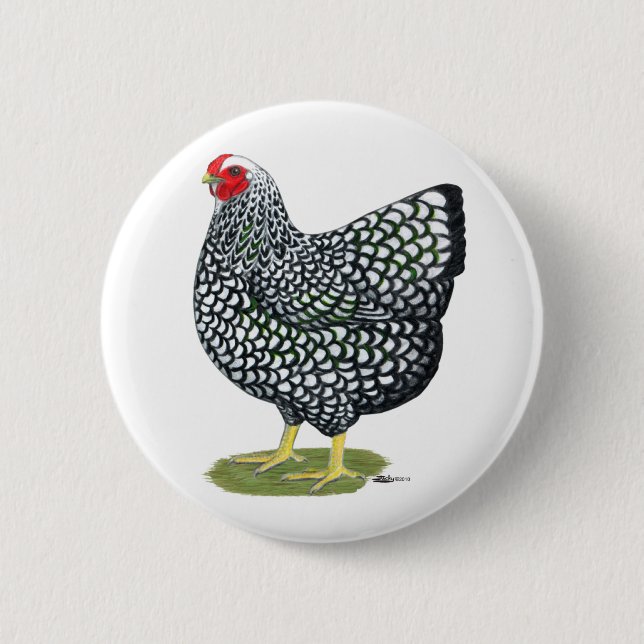Wyandotte:  Silberlackierter Hen Button (Vorderseite)