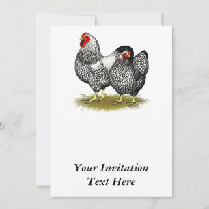 Wyandotte: Silberpaarung Einladung