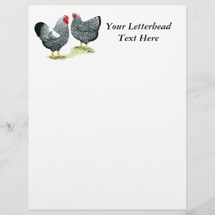 Wyandottes Silver-laced Pair