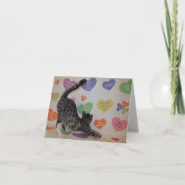 Wyatt Die Diskussion der Katze hört Valentins Herz Feiertagskarte