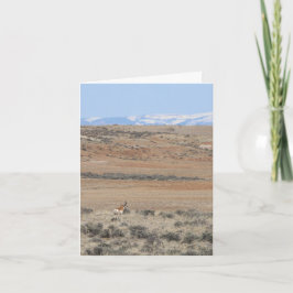 Wyo Speed Goat - 4" x 5,6" Notizkarte Feiertagskarte