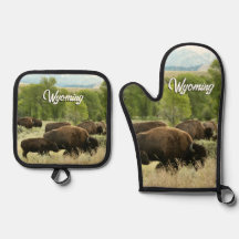 Wyoming Bison Natur Tierfotografie