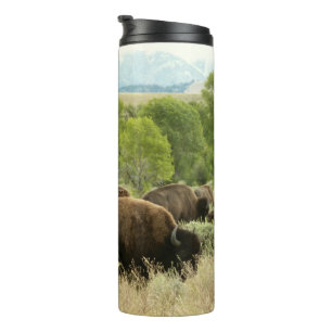 Wyoming Bison Natur Tierfotografie Thermosbecher