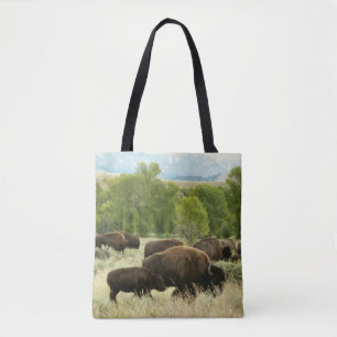 Wyoming Bison Nature Animal Fotografy