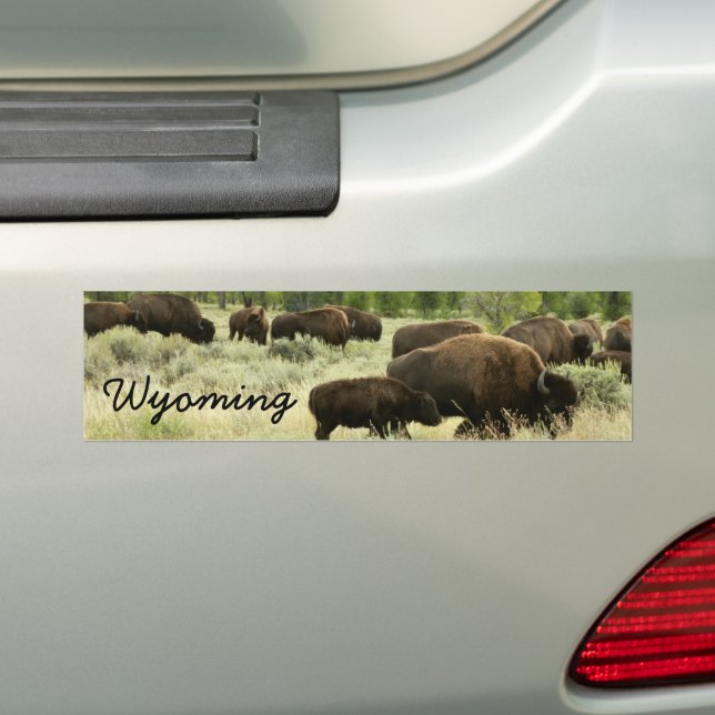 Wyoming Bison Nature Animal Fotografy Autoaufkleber (Auf Auto)