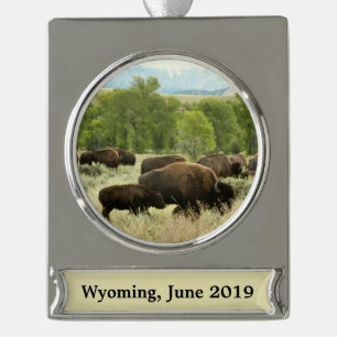Wyoming Bison Nature Animal Fotografy Banner-Ornament Silber