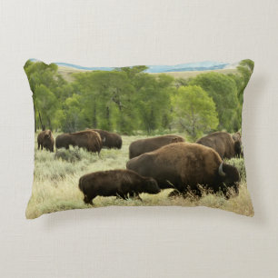 Wyoming Bison Nature Animal Fotografy Dekokissen