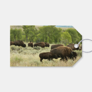 Wyoming Bison Nature Animal Fotografy Geschenkanhänger