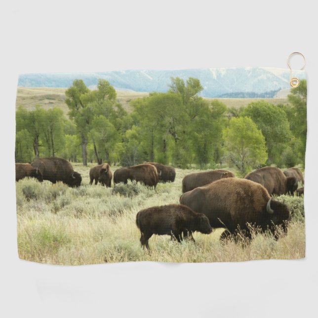 Wyoming Bison Nature Animal Fotografy Golfhandtuch (Horizontal)