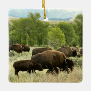 Wyoming Bison Nature Animal Fotografy Keramikornament