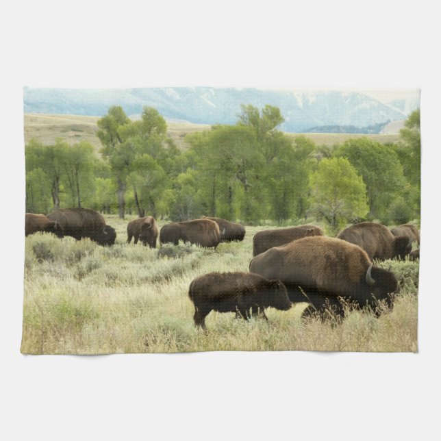 Wyoming Bison Nature Animal Fotografy Küchentuch (Horizontal)