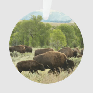 Wyoming Bison Nature Animal Fotografy Ornament
