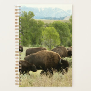 Wyoming Bison Nature Animal Fotografy Planer