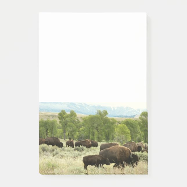Wyoming Bison Nature Animal Fotografy Post-it Klebezettel (Vorderseite)