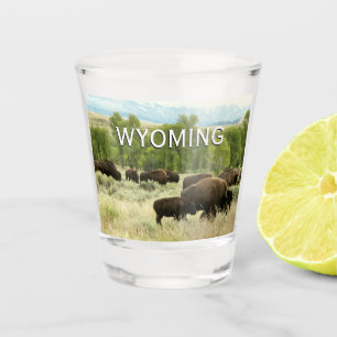 Wyoming Bison Nature Animal Fotografy Schnapsglas