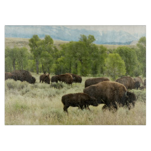Wyoming Bison Nature Animal Fotografy Schneidebrett