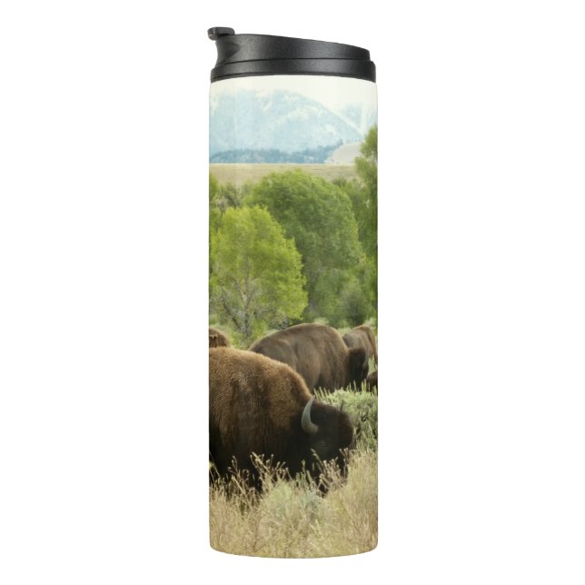 Wyoming Bison Nature Animal Photography Thermosbecher